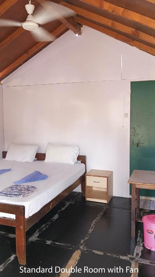 캔코나 The Nest Palolem B&B 외부 사진